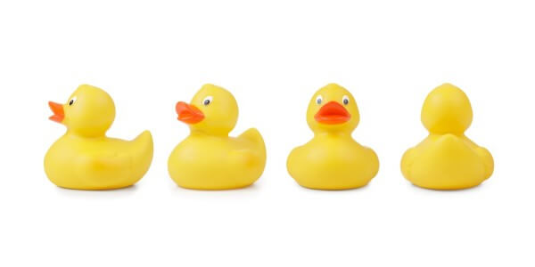 Get your "ducks in a row"